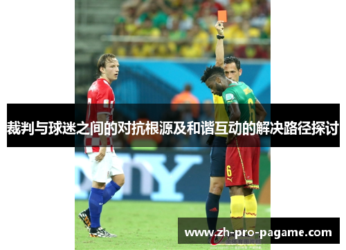 裁判与球迷之间的对抗根源及和谐互动的解决路径探讨
