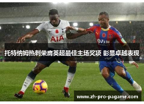 托特纳姆热刺荣膺英超最佳主场奖项 彰显卓越表现 托特纳姆热刺荣膺英超最佳主场奖项 彰显卓越表现