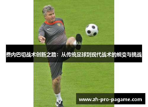 费内巴切战术创新之路：从传统足球到现代战术的蜕变与挑战