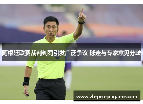 阿根廷联赛裁判判罚引发广泛争议 球迷与专家意见分歧