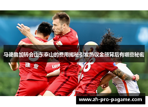 马德鲁加转会山东泰山的费用揭秘引发热议金额背后有哪些秘密 马德鲁加转会山东泰山的费用揭秘引发热议金额背后有哪些秘密