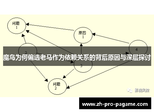 魔鸟为何偏选老马作为依赖关系的背后原因与深层探讨